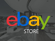 EbayStore2